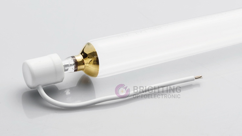 Gas discharge lamp
